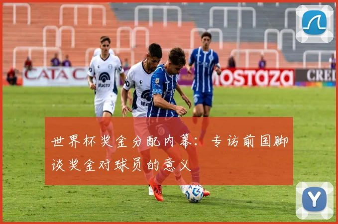 世界杯奖金分配内幕：专访前国脚谈奖金对球员的意义
