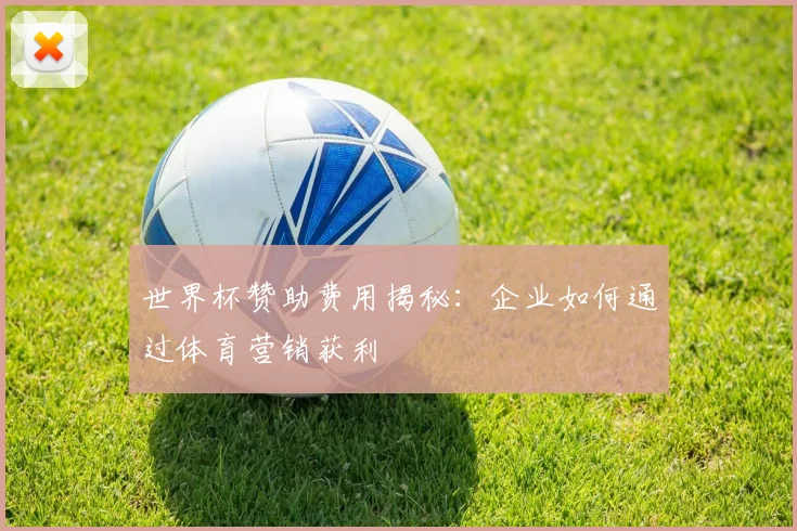 世界杯赞助费用揭秘：企业如何通过体育营销获利